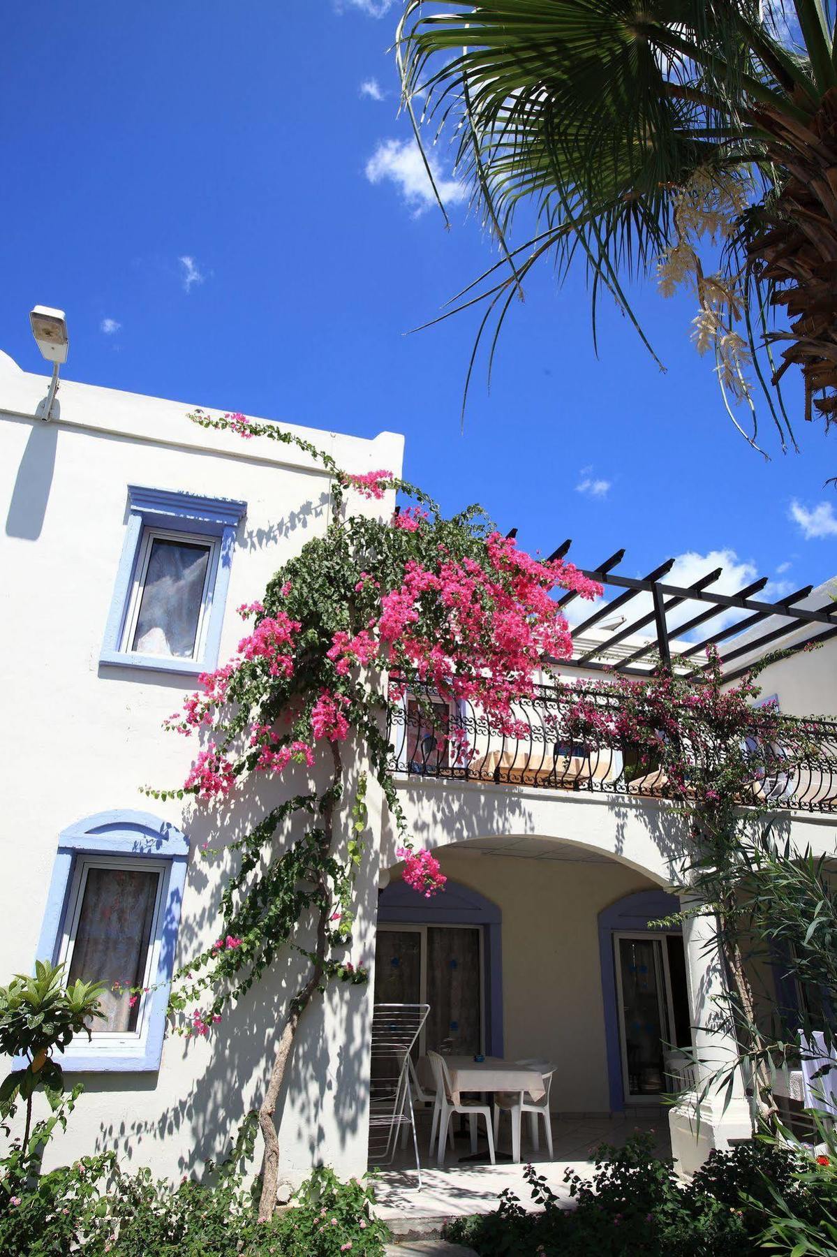 Club Paloma Apartment Gumbet Zewnętrze zdjęcie